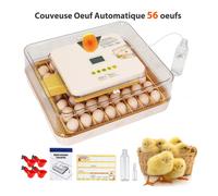 Couveuse Oeuf Automatique 56 oeufs - HOMDOX, Humidification Auto, Température Stable, Retourne-œufs, Incubateur avec Mire-œufs