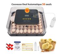 Couveuse Oeuf Automatique 56 oeufs - HOMDOX, Retourne-œufs, Humidification Auto, Température Stable, Incubateur avec Vue à 360°