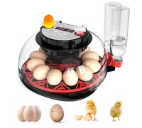 Couveuse Oeuf Automatique, Incubateur Automatique 12 Oeufs, avec Système de Retournement Automatique et Contrôle de la Température,Affichage de l'humidité, pour Éclosion d'Œufs de Poule Canard Caille