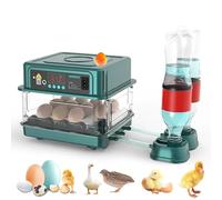 Couveuse Oeuf Automatique, Incubateur Automatique 15-36 Oeufs, avec Système de Retournement Automatique et Contrôle de la Température, pour Éclosion d'Œufs de Poule Canard Caille (10 Oeuf) (10 Oeuf)
