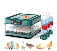 Couveuse Oeuf Automatique, Incubateur Automatique 15-36 Oeufs, avec Système de Retournement Automatique et Contrôle de la Température, pour Éclosion d'Œufs de Poule Canard Caille (10 Oeuf) (36 Oeuf)