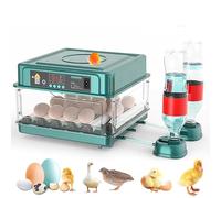 Couveuse Oeuf Automatique, Incubateur Automatique 15-36 Oeufs, avec Système de Retournement Automatique et Contrôle de la Température, pour Éclosion d'Œufs de Poule Canard Caille (10 Oeuf) (15 Oeuf)