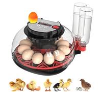 Couveuse Oeuf Automatique: Incubateur Oeuf Automatique 12-36 Oeufs avec Retournement Automatique et Humidification Automatique, Contrôle Température,pour œufs de Volailles Poussin Caille Poule Canard