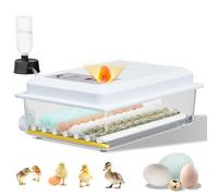 Couveuse Oeuf Automatique, Incubateur Oeuf Automatique 24-36 Oeufs avec Retournement Automatique des Oeufs et Humidification Automatique, Couveuse pour Oeufs de Poule, Caille, Canard (White-36 eggs)