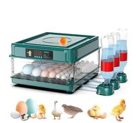 Couveuse Oeuf Automatique, Incubateur Oeuf Automatique 24-36 Oeufs, avec Retournement Automatique des Oeufs et Ajout D'eau, Contrôle de la Température, pour Oeufs de Poule, Caille, Canard (36 Oeufs)