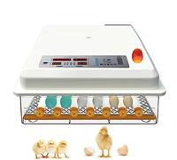 Couveuse Oeuf Automatique, Incubateurs D'oeufs Contrôle de la Température, Surveillance de l'humidité, Rotation Automatique des œufs,48