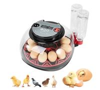 Couveuse pour Oeufs de Poule, Couveuse Automatique pour 12 Oeufs, Contrôle Automatique de la Température avec Affichage de l'humidité, Couveuse Rotative Automatique pour Oeufs