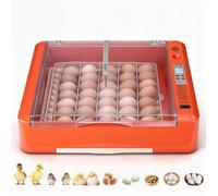 Couveuse Œuf Automatique 36 Œufs de Poule Incubateur Œuf pour Éclosion Œufs de Volaille Poussins Canetons Oies Cailles