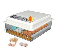 Couveuses pour œufs de Volailles, Incubateur D'oeufs Automatique Intelligent avec Rotation Automatique des Oeufs Couveuse de Volaille pour Poulet, Canards,30