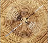 Couvez, Remy - Wood Song (Vielle a Roue - Hurdy Gurdy)