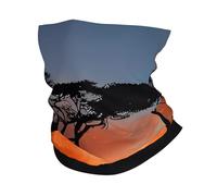 Couvre-Chef Éléphant D'Afrique Décoration Faciale Respirant Balaclava Multifonction Cache Cou pour Cyclisme Course À Pied Extérieur