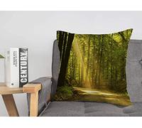 Couvre-lit Housse de Coussin lumière du Soleil Matin Aube Tombe sur la forêt Horizontale été Route Soleil Nature Parcs extérieur Design Vif Confortable Housses de Coussin 18 x 18 Pouces pour lit voi