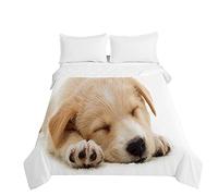 Couvre Lit Matelassée, Chickw1 3D Chien Imprimé Réversible Doux Microfiber Couvre-lit Couverture de lit Jeté de Lit Dessus de Lit Courtepointe (Chien Jaune,220x240cm)