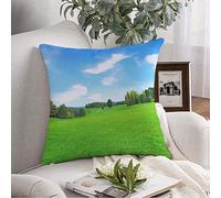 Couvre-lit taie d'oreiller Herbe ensoleillé Arbre été idyllique Environnement Vert Prairie Bleu tondre Ciel Nature Parcs pelouse extérieur Housse de Coussin Coussin carré pour canapé Chaise literie