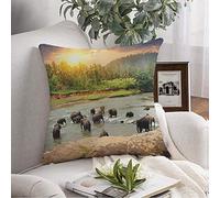 Couvre-lit Taie d'oreiller Troupeau d'éléphants Baignade Montagne Big Island Jungle Aventure Rivière Sri Animaux Arbre Faune Nature Couvre-lit Housse de Coussin Coussin carré pour canapé Chaise Lite