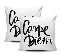 Couvre Oreillers Carpe Diem Taie Oreiller Décoratif Coussins Taies d'oreiller Moderne Decoration Housses pour Cadeau d'anniversaire Filles Jardin 45X45Cm