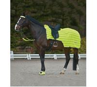 Couvre-reins pour cheval imperméable Waldhausen Reflex