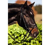 Covalliero bride Standard, bride d'équitation, noire, cuir, métal, poney Full, cheval, réglable, avec rênes en sangle