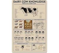 Cow Anatomy and Milking Systems Educational Metal Sign Vintage Farm Chart for Agricultural School Veterinary Student Decor 8 X 12 in