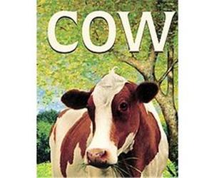 Cow Malachy Doyle (Auteur)