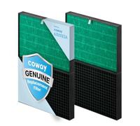 Coway Airmega ProX Lot de 2 filtres de rechange pour purificateur d'air HEPA et filtre à charbon actif Vert