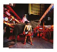 Cowboy Bebop Knockin'on Heaven's Door Ask Dna [Import Japonais]