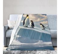 COWMGHLDFL Couverture de lit douce et confortable en flanelle réversible en peluche Pingouins sur l'iceberg - Jeté chaud et confortable pour canapé-lit (127 x 101,6 cm)