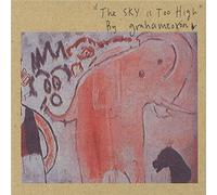 Coxon,Graham - The Sky is Too High [Import]
