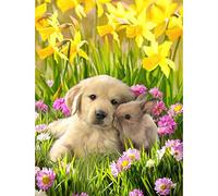 Coyeeki 5D Diamant Peinture Kit Complet Adorable Animal, DIY Broderie Diamant Kit Lapin Et Chiot Diamond Painting Point De Croix Kit D'artisanat Accessoires Salon Décor à La Maison 30x40cm