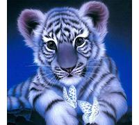 Coyeeki 5D Diamant Peinture kit complet Animal Mignon, DIY broderie diamant kit Tigre Blanc diamond painting Point De Croix Kit D'artisanat Accessoires Salon Décor à La Maison 30X30cm