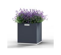 Coyotto Jardinière d’extérieur carrée en métal - Acier galvanisé gris - CY404050