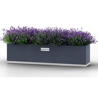 Coyotto Jardinière de balcon en métal - Balconnière acier galvanisé gris - CY1002020B