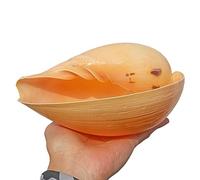 COYOUCO Grands Coquillages, conque de mer Naturelle 4-7 Pouces coquilles parfaites pour la fête à thème de Plage, décorations de la Maison, Bricolage, Aquarium, Plante d'air,B