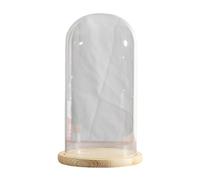 COYOUCO Présentoir en Verre Cloche dôme avec Base en Bois Massif pour Exposer des Plantes, des Ornements, des Figurines, des dia15cm Hauteur30/35cm,Dia15*H35cm