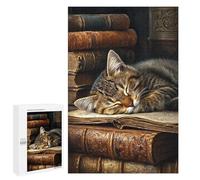 Cozy Cat Nap on Books Puzzle 1000 Pièces Educa Jouet en Bois Cadeau Unique Décoration Intérieure Jeu Éducatif Challenge Toy Adultes Et Enfants À Partir De 14 Ans 1000 PCS