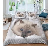 Cozy chat nap Ensemble De Literie Microfibre résistante 3 pièces 3D Effet Confortable Soft feline relaxation Housse de Couette avec Fermeture Éclair Respirante for Chambre Adulte Single（140x200cm）