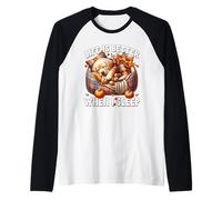 Cozy Fall Labrador Graphic for Women Men Kids Autumn Sleep Manche Raglan