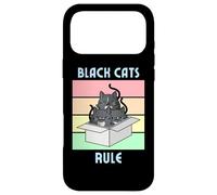 Cozy Mystery Black Cats Rule Cute Smoking Chat dans Une boîte Coque pour iPhone 17 Pro Max