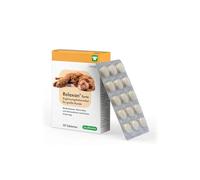 cp-pharma Relaxan Forte | 30 comprimés | Complément Alimentaire pour Grands Chiens | Multivitamines, minéraux et acides aminés d'origine Naturelle | pour Les réactions au Stress