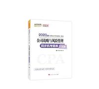 CPA CPA 2020 textbooks will note the company's strategy and risk management through a computer-based test exam dream come true Chinese accounting Wang Xiao series(Chinese Edition)