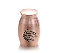CPDDNGZMKK Monuments Funéraires 1Pc Mini Urne Commémorative Alliage D'aluminium Couvercle Fileté Urnes Crémation pour Animaux Compagnie Bien Aimé Urne Coffre Funéraire(4,S)