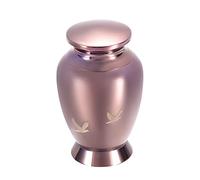 CPDDNGZMKK Monuments Funéraires Urne Crémation Adulte Acier Inoxydable Deux Tailles pour Cendres Café Mémorial Médaillon Cercueil Souvenir Bijoux avec Boîte Coffre Funéraire(L)