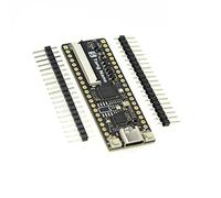 Cpolebev 1 Pcs Tang Nano Minimalist FPGA Development Board Straight Insert Breadboard Part
