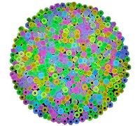 Cpolebev 1900 PièCes Glow en la Dark Beads Mix 9 Colors Glow Beads Perles Lumineuses en Vrac Perles de Cheveux en Acrylique Perles en Plastique