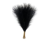 Cpolebev 5 Pièces de Fausse Herbe de Pampa, 18 Pouces/45 Cm d'herbe de Pampa Artificielle Moelleuse 5 Tiges pour (Noir)