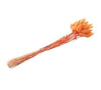 Cpolebev 60Pcs Fleurs SéChéEs d'automne Queues de Lapin Fleurs SéChéEs Lagurus Ovatus Herbe de Queue de Lapin pour Fleurs SéChéEs (Orange)