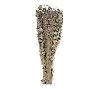 Cpolebev Lot de 15 Tiges D'Eucalyptus SéChéEs et de Fleurs de Lavande pour Douche, 17 Pouces de Feuilles D'Eucalyptus