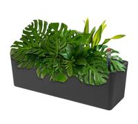 CPROSP 40cm Pot de Fleurs Auto-arrosants Rectangulaire Savec Indicateurs de Niveau d'eau, Boîte de Jardinage avec Égouttoir pour lntérieur et Extérieur, Plafonds, Balcons, Décoration Noir