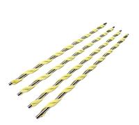 CQadsDyrx Rouleau de Charge Primaire 4 pièces V180 V2100 V3100 Compatible avec Versant 80 180 2100 3100 V80(4PCS Cleaning Roller)