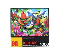 CRA-Z-ART Puzzle 1000 pièces Friendly Birds